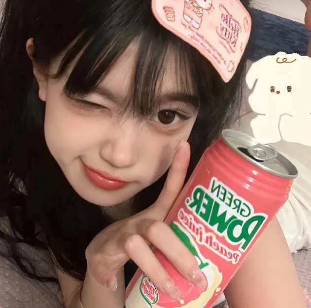 大鸟和小鸟